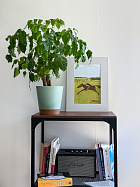 Плакат «Курьерская служба»