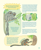 Гениальные глаза