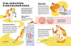 Секреты кошек. Как понять свою кошку и подружиться с ней