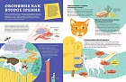 Секреты кошек. Как понять свою кошку и подружиться с ней