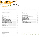 Коты на ёлке