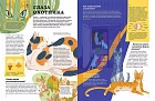 Секреты кошек. Как понять свою кошку и подружиться с ней